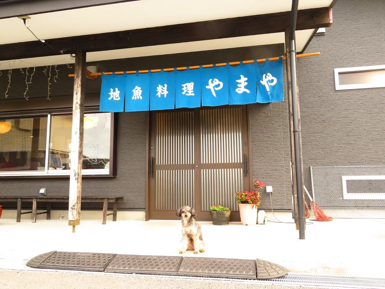 おさかな食堂 やまや